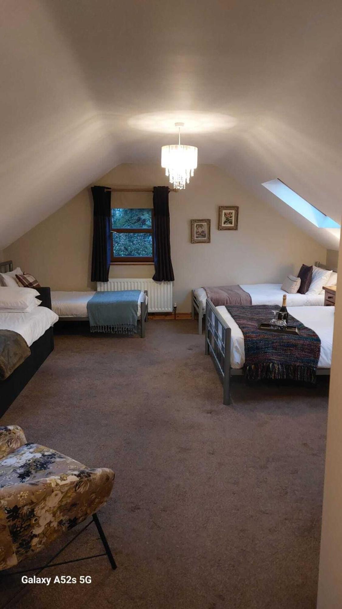 Dunhill Cottage B&B ฮิลล์สโบโร ห้อง รูปภาพ
